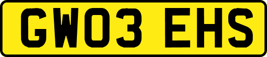 GW03EHS