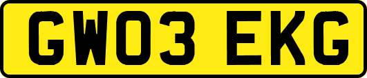 GW03EKG