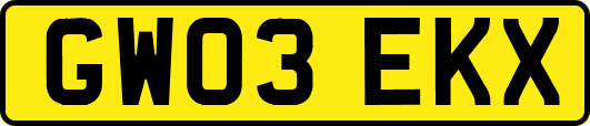 GW03EKX