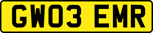 GW03EMR