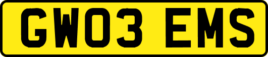 GW03EMS