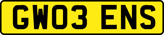 GW03ENS