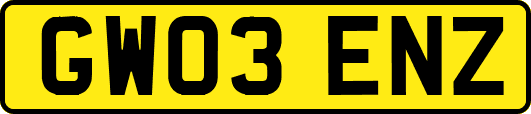 GW03ENZ