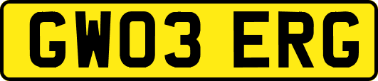 GW03ERG