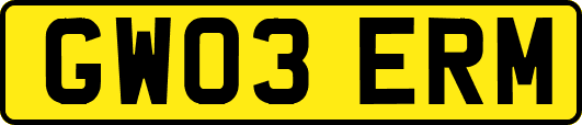 GW03ERM