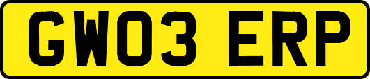 GW03ERP