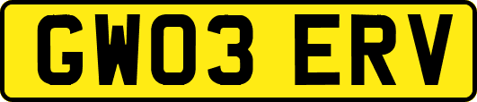 GW03ERV