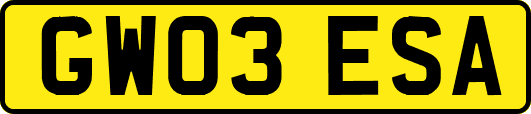 GW03ESA