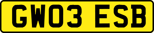 GW03ESB