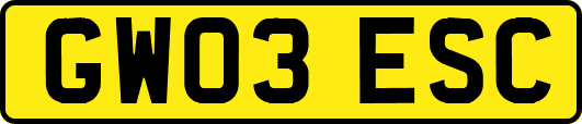 GW03ESC