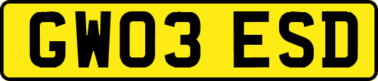 GW03ESD