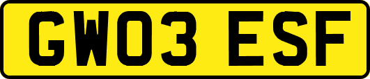GW03ESF