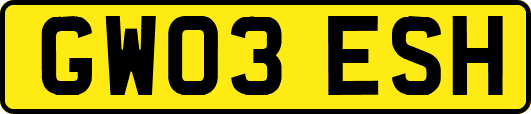 GW03ESH