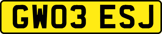 GW03ESJ