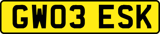 GW03ESK