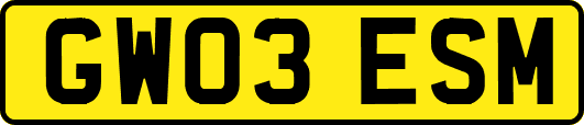 GW03ESM