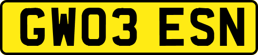 GW03ESN