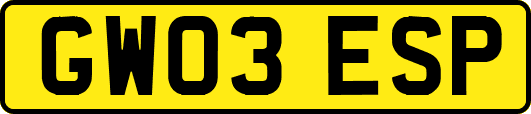GW03ESP