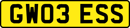 GW03ESS