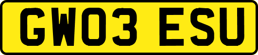 GW03ESU