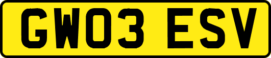 GW03ESV