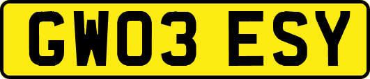 GW03ESY