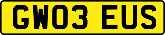 GW03EUS