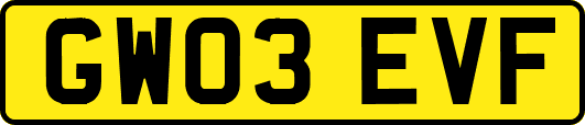 GW03EVF