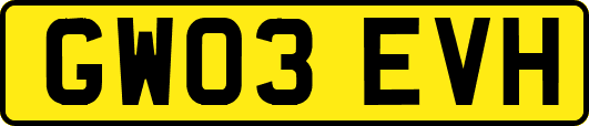 GW03EVH