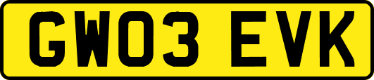 GW03EVK