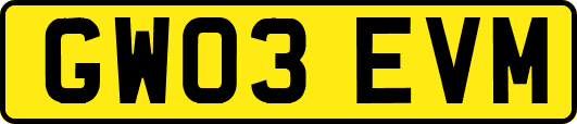 GW03EVM