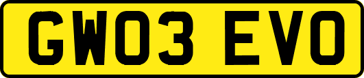 GW03EVO