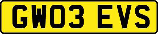 GW03EVS