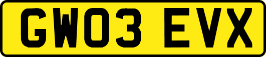 GW03EVX