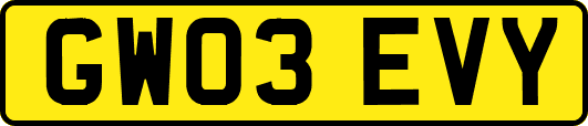 GW03EVY