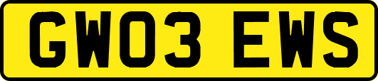 GW03EWS