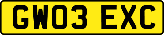 GW03EXC