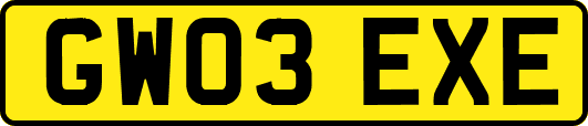 GW03EXE