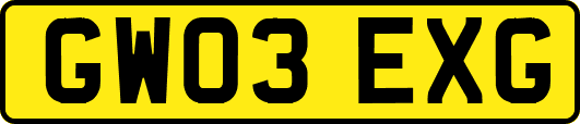 GW03EXG