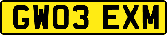 GW03EXM