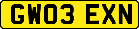 GW03EXN