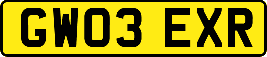 GW03EXR
