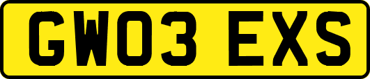 GW03EXS