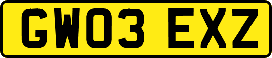 GW03EXZ