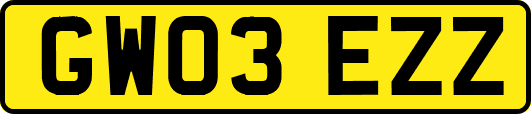 GW03EZZ