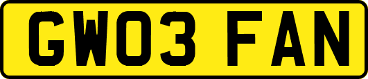 GW03FAN