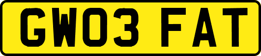 GW03FAT