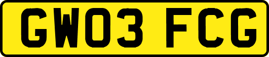 GW03FCG