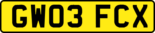 GW03FCX