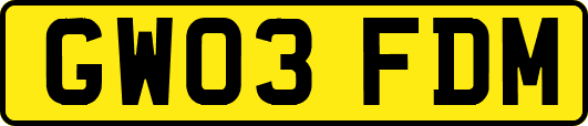 GW03FDM